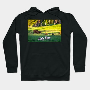 Mule Deer at Yellowstone Hoodie